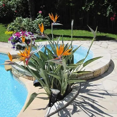 Dans De Charme, Piscine, Proche דירה קסיס