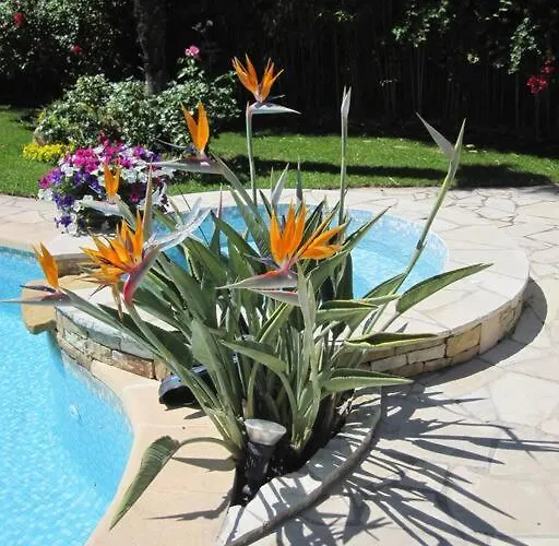 Dans De Charme, Piscine, Proche Apartman Cassis